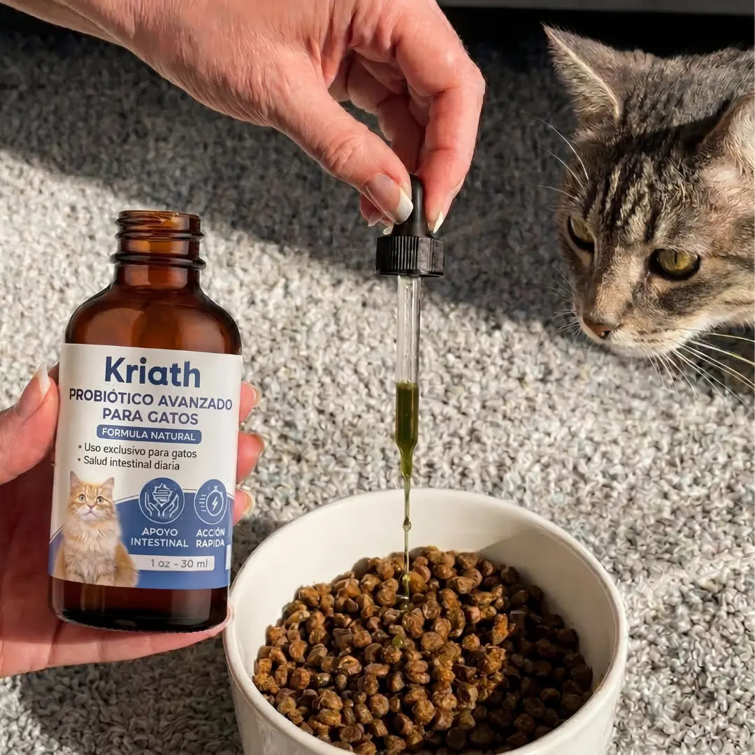 Probiótico para Gatos Kriath®